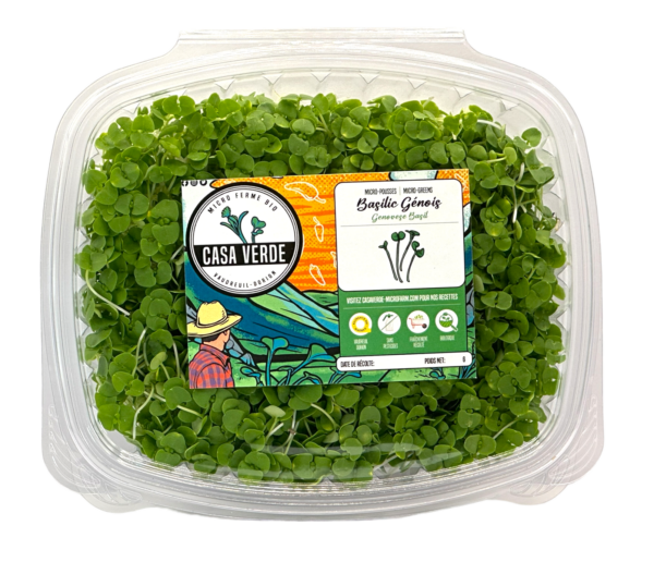 genovese-basil-stage-1-microgreens-basalic-micropousses-hero-trans