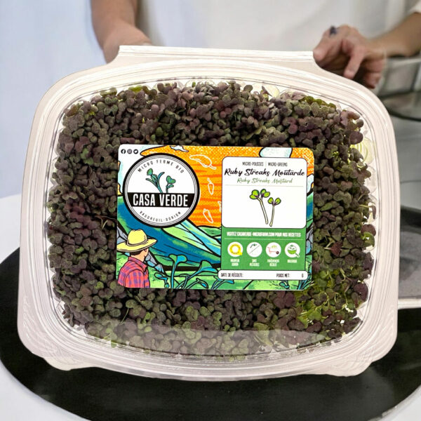 ruby-streaks-mustard-microgreens-micropousses-moutarde-mesclun-hero