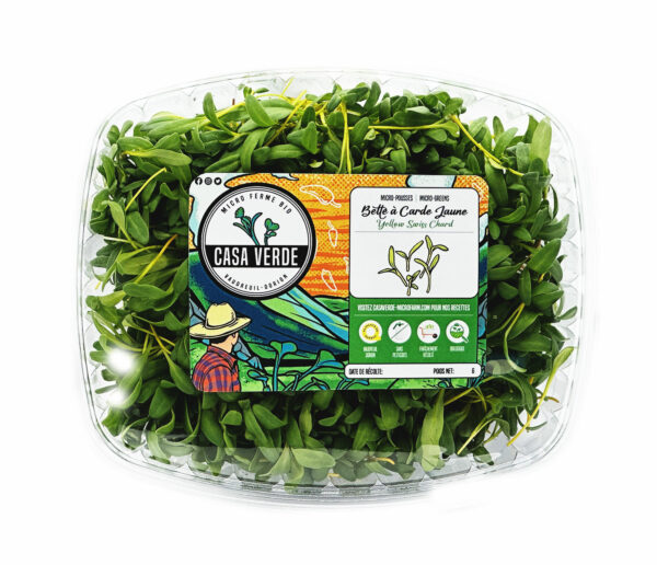 swiss-chard-yellow-microgreens-bette-a-carde-micropousses-montreal-vaudreuil