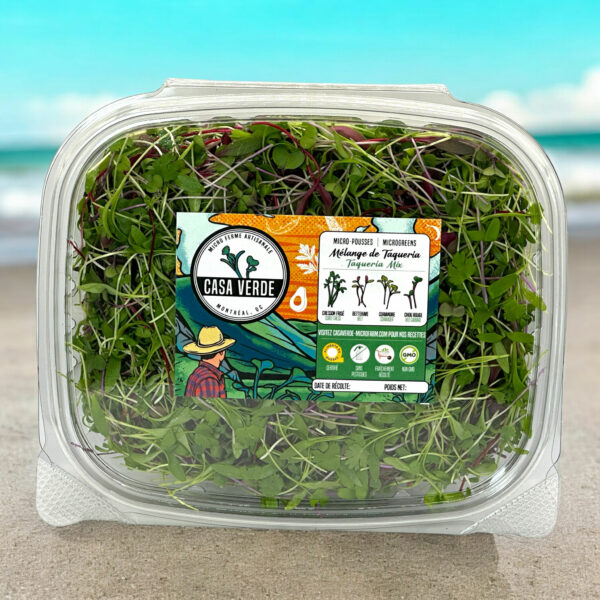 taqueria-blend-mexican-taco-mix-coriander-microgreens-micropousses-coriandre-1