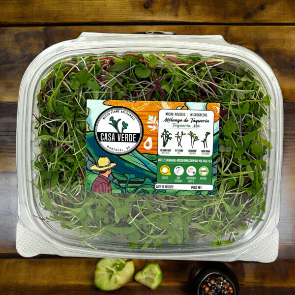 taqueria-blend-mexican-taco-mix-coriander-microgreens-micropousses-coriandre-2