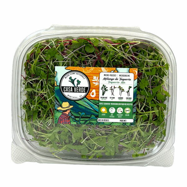 taqueria-blend-mexican-taco-mix-coriander-microgreens-micropousses-coriandre-hero