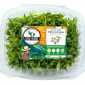 yellow-swiss-chard-microgreens-micropousses-bette-a-carde-hero-transparent