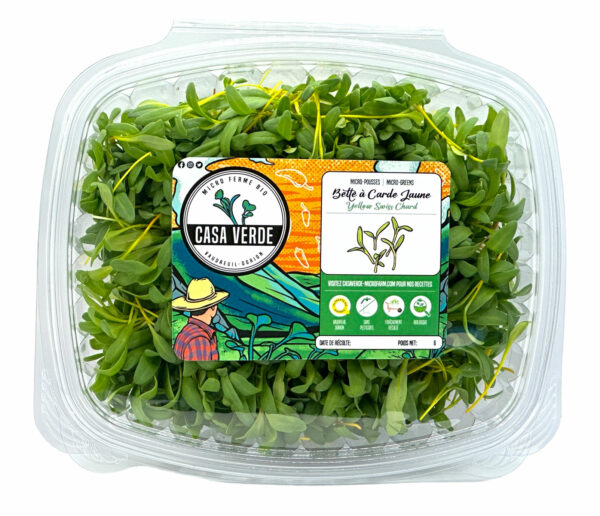 yellow-swiss-chard-microgreens-micropousses-bette-a-carde-hero-transparent