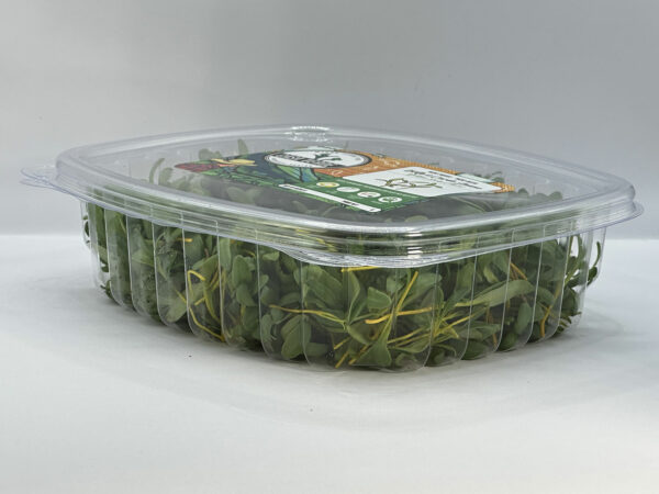 yellow-swiss-chard-microgreens-montreal-bette-a-carde-micropousses-vaudreuil-casa-verde-microfarm-1