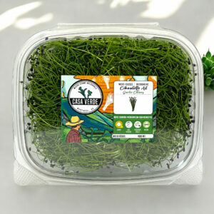 ail-microgreens--micropousses-ail-montreal-1