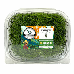 ail-microgreens--micropousses-ail-montreal