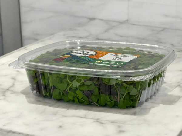 mixed-basil-microgreens-micropousses-2