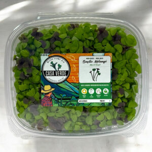mixed-basil-microgreens-micropousses-3