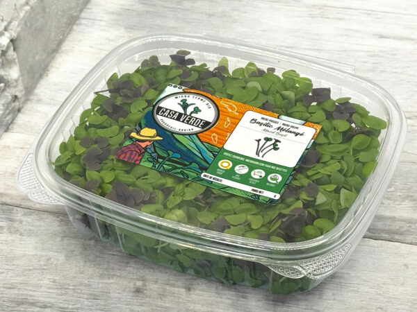 mixed-basil-microgreens-micropousses-4