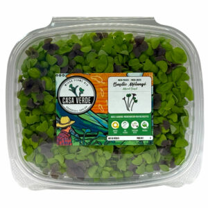 mixed-basil-microgreens-micropousses-hero-trans