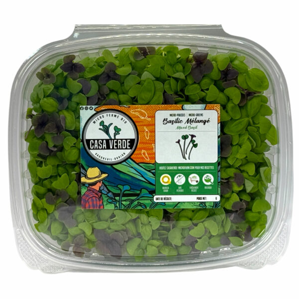 mixed-basil-microgreens-micropousses-hero-trans