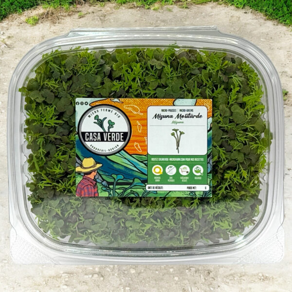 mizuna-red-stage-2-microgreens-moutard-mizuna-micropousses-hero-1