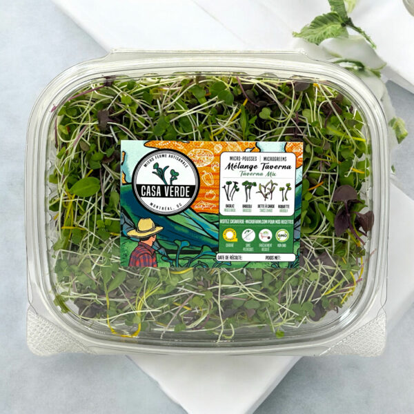 taverna-italian-blend-mix-microgreens-yellow-swiss-chard-purple-basil-micropousses-italienne-2