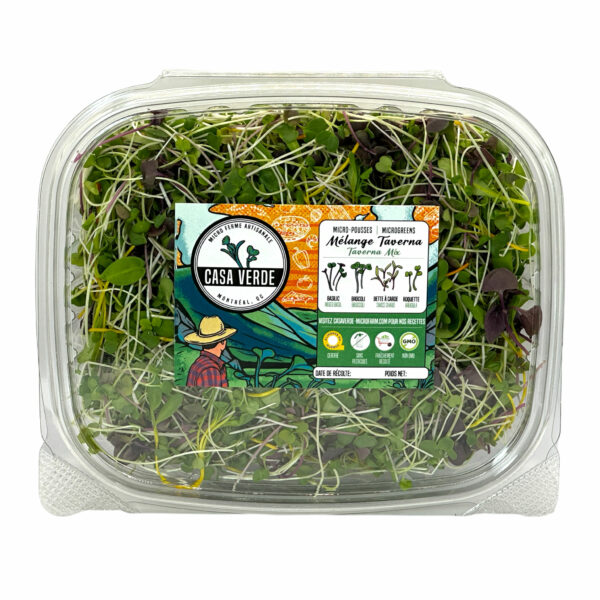 taverna-italian-blend-mix-microgreens-yellow-swiss-chard-purple-basil-micropousses-italienne