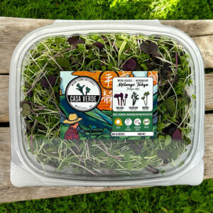 tokyo-microgreen-mix-radish-cress-mustard-microgreens-japanese-micropousses-vaudreuil-montreal-casa-verde-microfarm-1