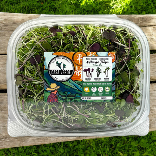 tokyo-microgreen-mix-radish-cress-mustard-microgreens-japonese-micropousses-vaudreuil-montreal-casa-verde-microfarm-1