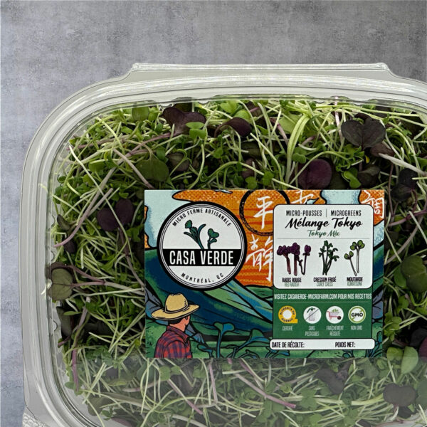 tokyo-microgreen-mix-radish-cress-mustard-microgreens-japonese-micropousses-vaudreuil-montreal-casa-verde-microfarm-3