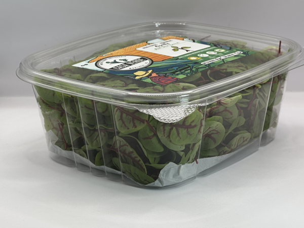 red-vein-sorrel-microgreens-montreal-casa-verde-microfarm-2