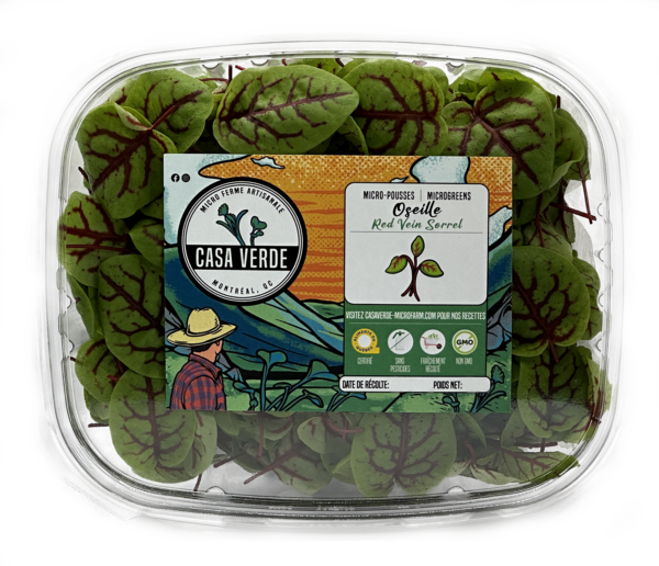 red-vein-sorrel-microgreens-montreal-casa-verde-microfarm