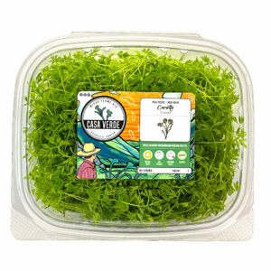 carrot-microgreens-micropousses-carotte-hero