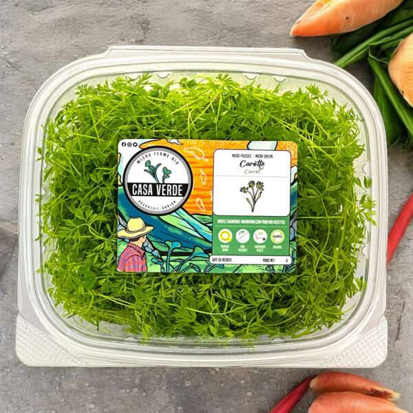 carrot-microgreens-micropousses-carotte-montreal