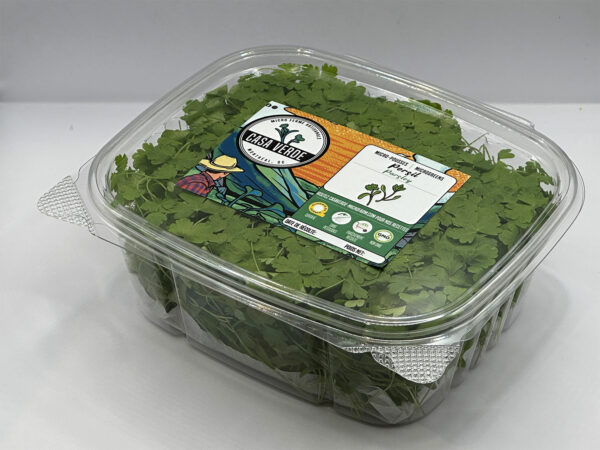 parsley-microgreens-montreal-persil-micropousses-vaudreuil-casa-verde-microfarm-microferme-1