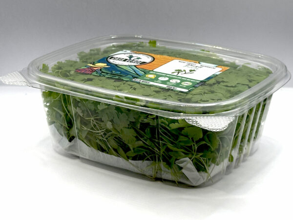 parsley-microgreens-montreal-persil-micropousses-vaudreuil-casa-verde-microfarm-microferme-2