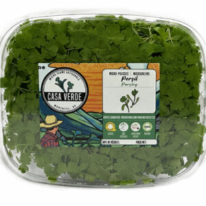 parsley-microgreens-montreal-persil-micropousses-vaudreuil-casa-verde-microfarm-microferme