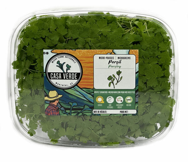 parsley-microgreens-montreal-persil-micropousses-vaudreuil-casa-verde-microfarm-microferme