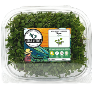 thyme-microgreen-side-view-thym-micropousses-montreal-casa-verde-microferme-microfarm-hero