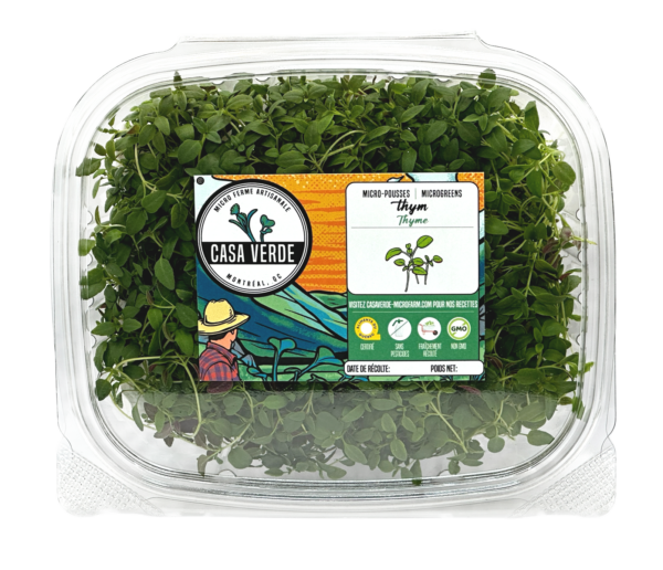 thyme-microgreen-side-view-thym-micropousses-montreal-casa-verde-microferme-microfarm-hero