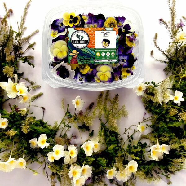 viola-edible-pansy-flowers-restaurants-casa-verde-microfarm-montreal-1