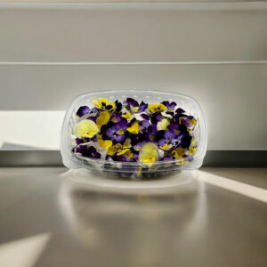 viola-edible-pansy-flowers-restaurants-casa-verde-microfarm-montreal-2