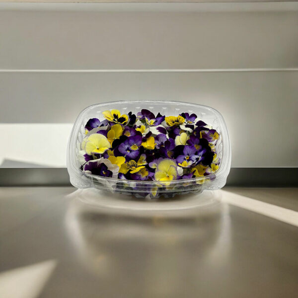 viola-edible-pansy-fleurs-restaurants-casa-verde-microfarm-montreal-2