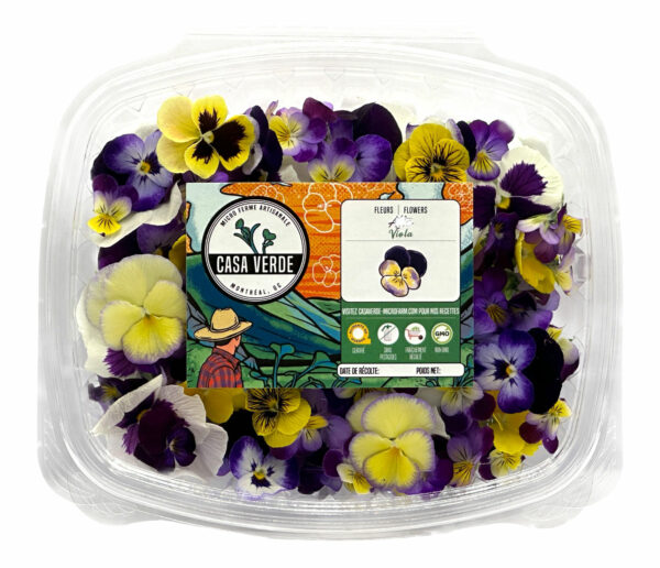 viola-edible-pansy-flowers-restaurants-casa-verde-microfarm-montreal-hero