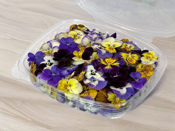 viola-pansy-edible-flowers-montreal-resto-fine-cuisine-casa-verde-restaurant-ingredients-2