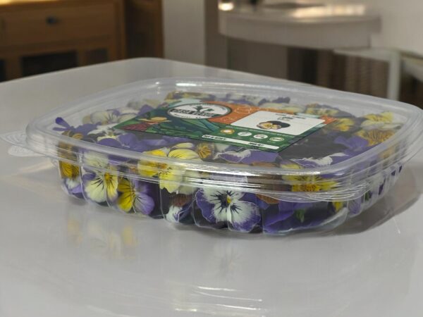 viola-pansy-edible-flowers-montreal-resto-fine-cuisine-casa-verde-restaurant-ingredients-4