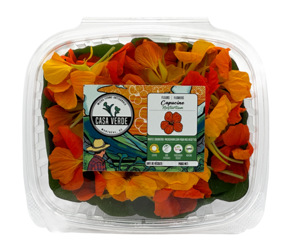 Mélange africain--nasturtium-fleurs comestibles-casa-verde-microfarm-montreal-bouquet-hero