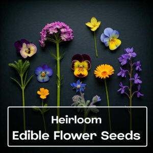 Edible Flower Seeds