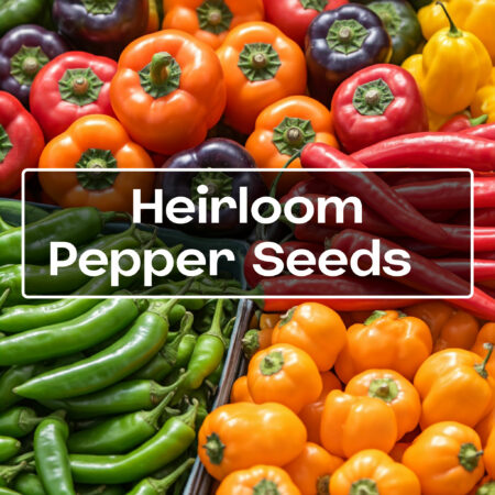 exotic-heirloom-pepper-seeds-garden-pepper-growing