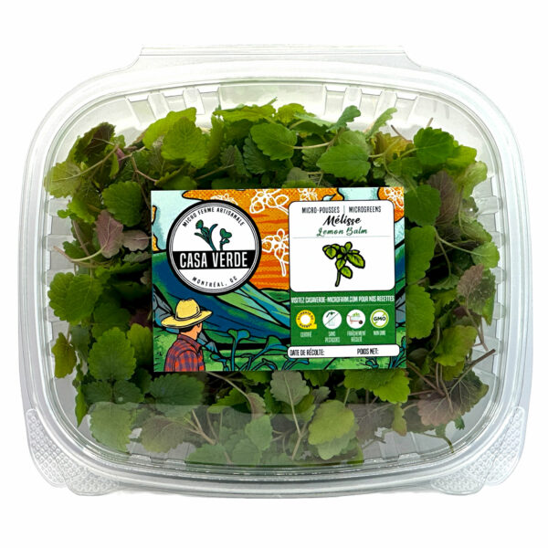 lemon-balm-microgreens-melisse-micropousses-casa-verde=microfarm