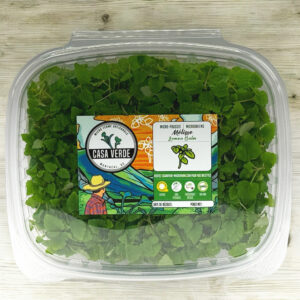 lemon-balm-microgreens-melisse-micropousses-hero-1