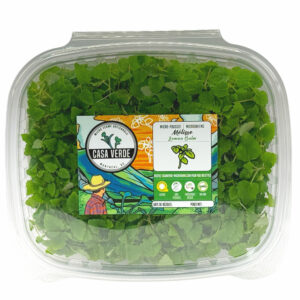 lemon-balm-microgreens-melisse-micropousses-hero