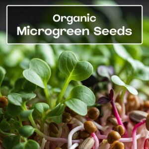 Microgreen Seeds