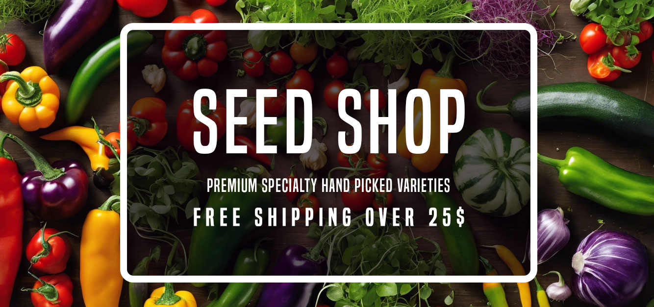 seed-shop-banner-image-pepper-seeds-microgreens-edible-flowers-eggplant-pumpkin-cucumber-tomatoes-3