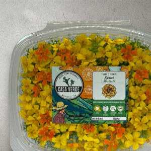 tagetes-marigold-signets-citron-gemme-bouton-marigold-fleurs comestibles-3