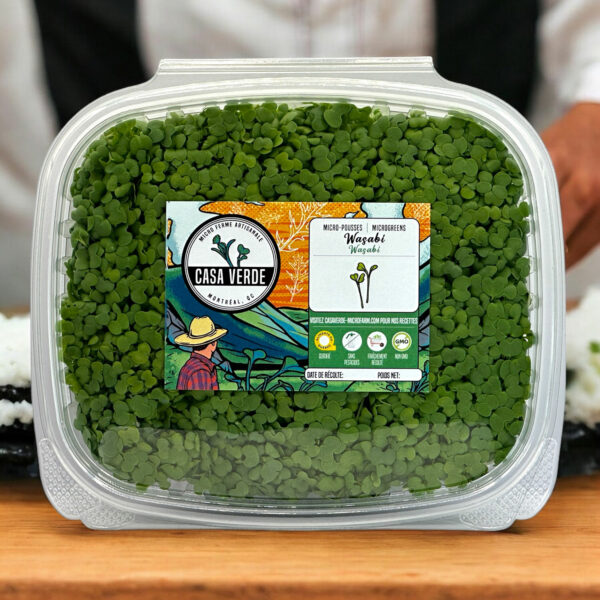 wasabi-mustard-microgreens-micropousses-montreal-spicy