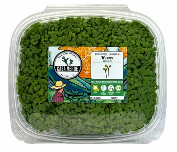 wasabi-moutarde-microgreens-micropousses-montreal-spicy-hero