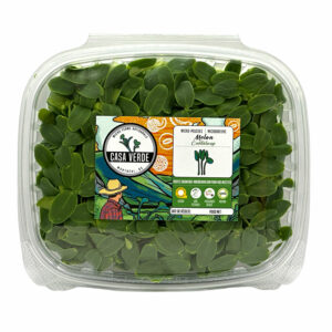 cantaloup-microgreens-montreal-canada-melon-hero